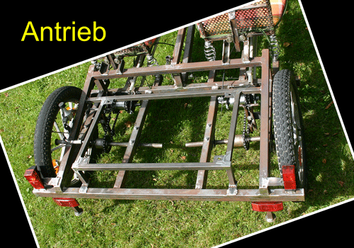 Trike Elektrofahrrad geteilte Welle Trike Elektrofahrrad Antrieb