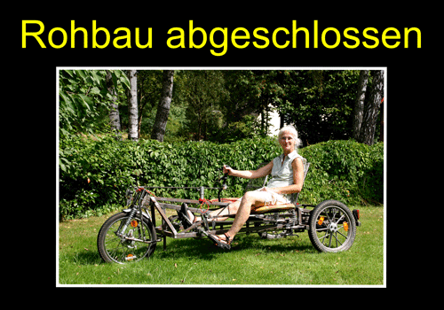 Trike Elektrofahrrad fertig geschweißt Trike Elektrofahrrad Rohbau