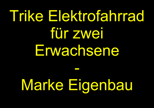 Trike Elektrofahrrad Startbild
