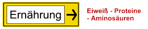 Eiweiß-Proteine-Aminosäuren