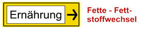 Fette Fettstoffwechsel