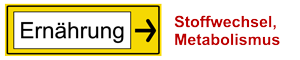 Stoffwechsel-Metabolismus