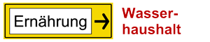 Wasserhaushalt