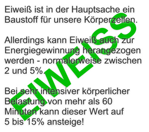 Eiweißbedarf