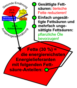 Fette, Lipide und Fettstoffwechsel