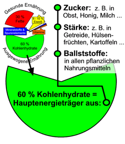 Was sind Kohlenhydrate