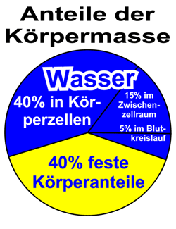 Wasseranteile
