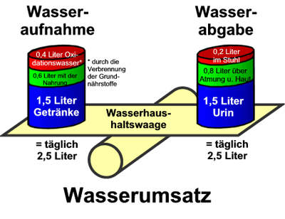 Wasserhaushaltswaage